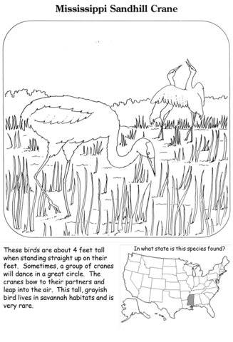 Mississippi Sandhill Crane Coloring Page